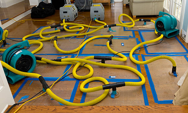 Professional Crawl Space Water Removal technician working in Kingston, RI
